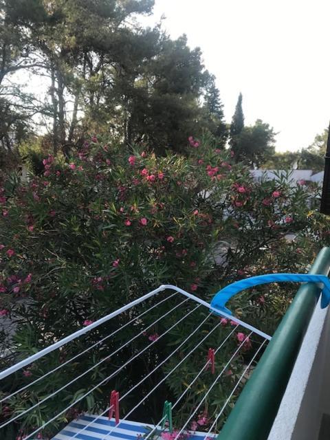 Apartment Mimi, Nečujam מראה חיצוני תמונה