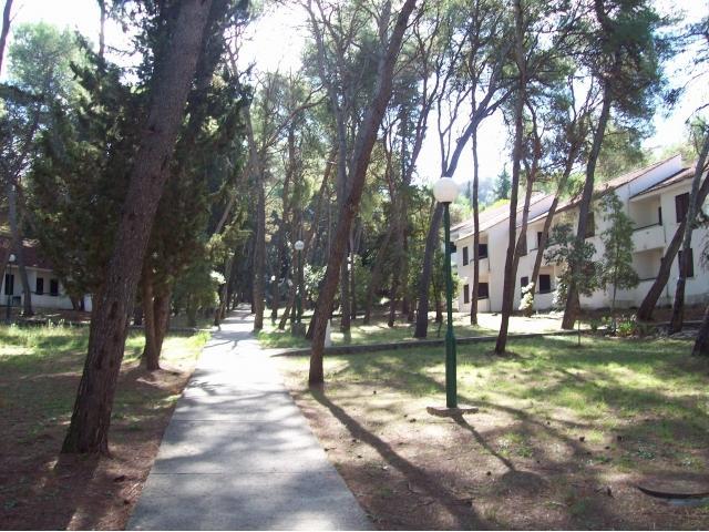 Apartment Mimi, Nečujam מראה חיצוני תמונה